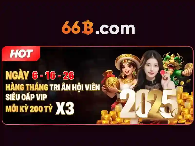 66b là gì và vai trò của nó