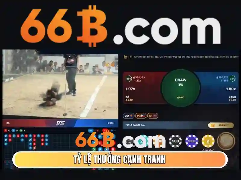 Giấy phép hoạt động và chứng nhận bảo mật của 66b