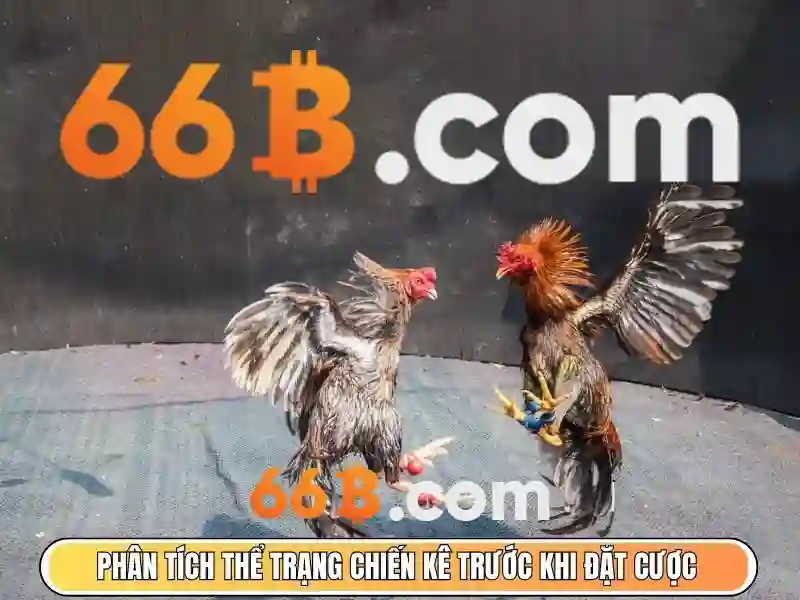 66b: một khái niệm kín đáo trong công nghệ và đời sống
