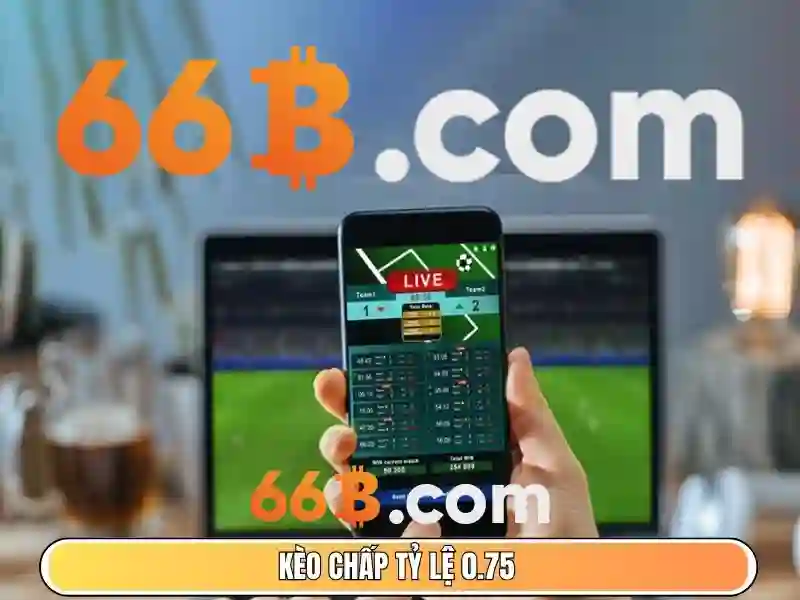 Giao dịch 66b: Hành trình đổi mới và trải nghiệm