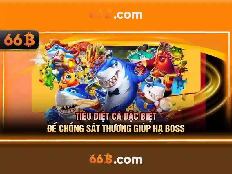66b là gì và vai trò của nó trong công nghệ hiện đại