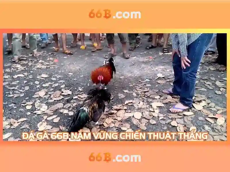 66b: một khái niệm và con đường phát triển