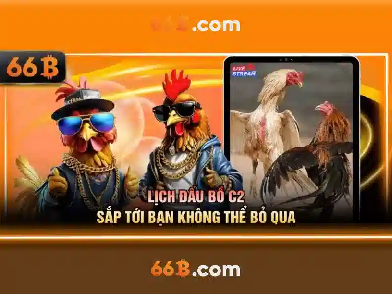66b bị chặn - Tầm nhìn thương hiệu và trải nghiệm người dùng