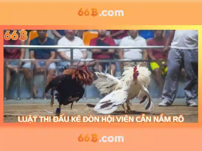66b: Khái niệm, ứng dụng và tiềm năng