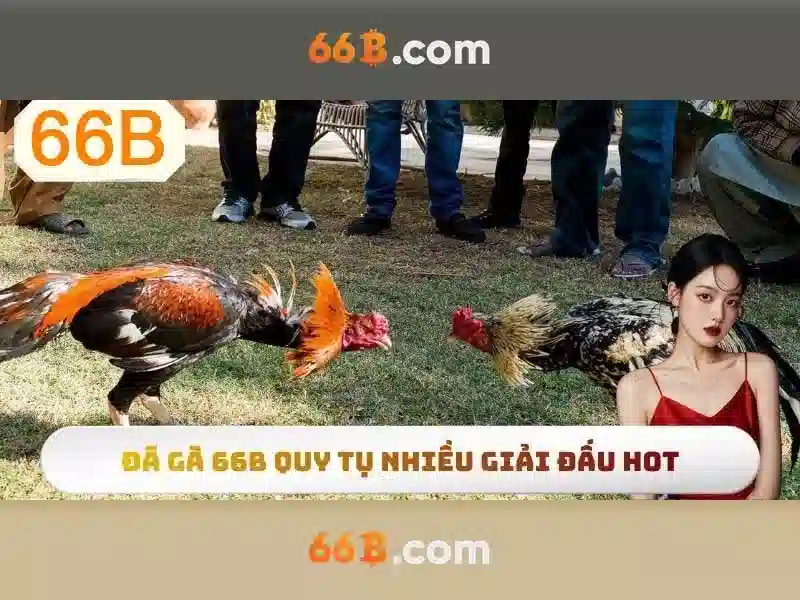 66B: Khái niệm và ý nghĩa của mô hình ngôn ngữ 66 tỷ tham số