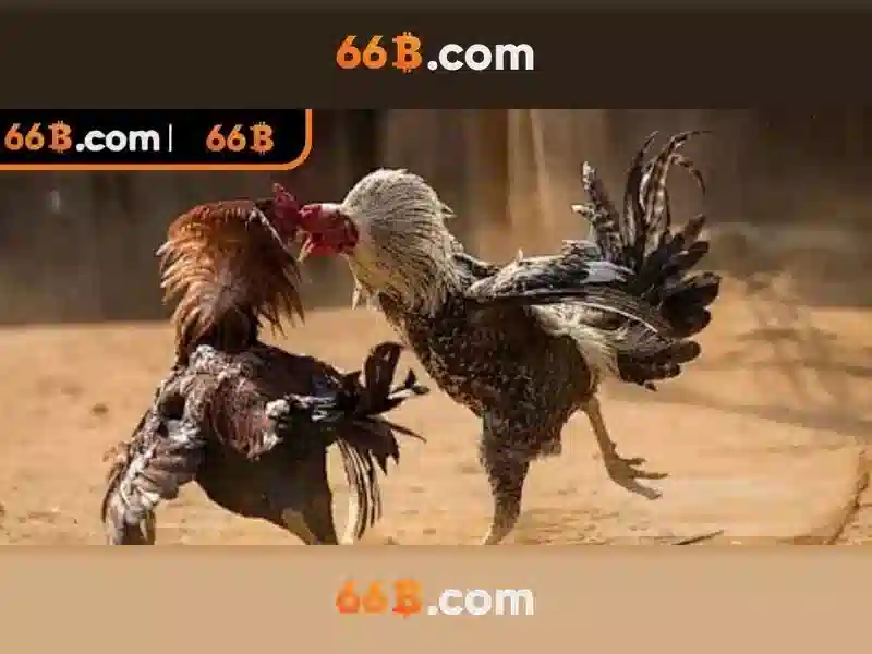 66B: Mô hình ngôn ngữ tham số lớn