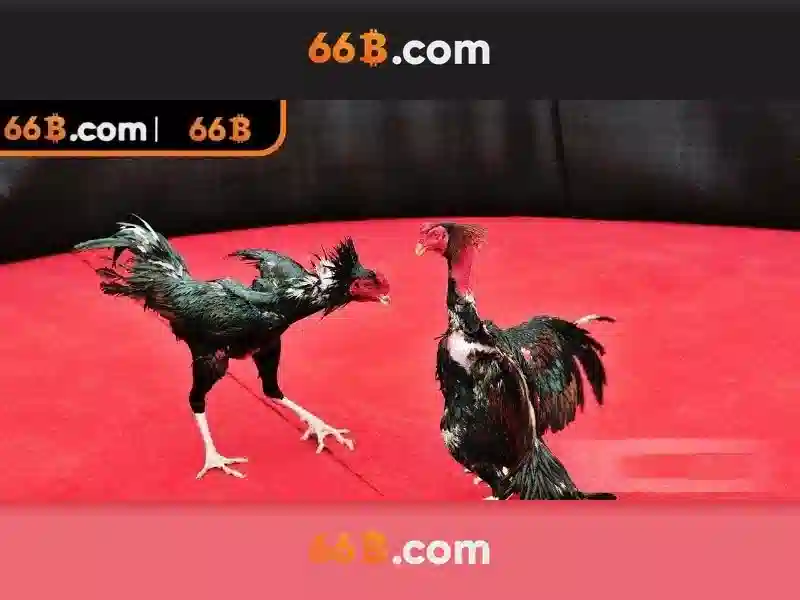 66B: Hướng dẫn hiểu và chọn kích thước áo ngực
