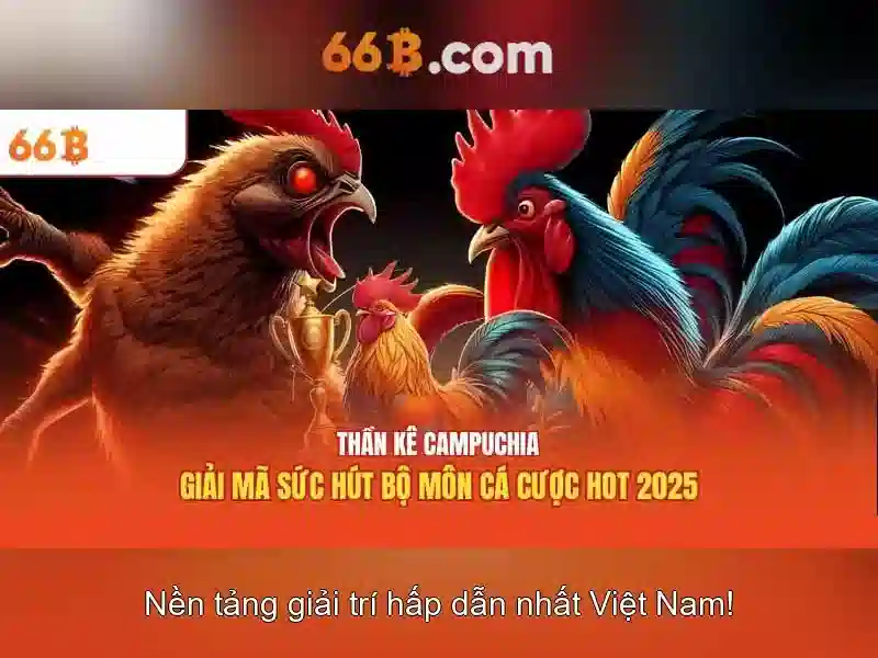 66b cách mạng tháng 8 – Khai phá ý nghĩa và ứng dụng