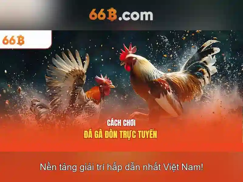 66B: Mô hình ngôn ngữ 66 tỷ tham số và tương lai của trí tuệ nhân tạo