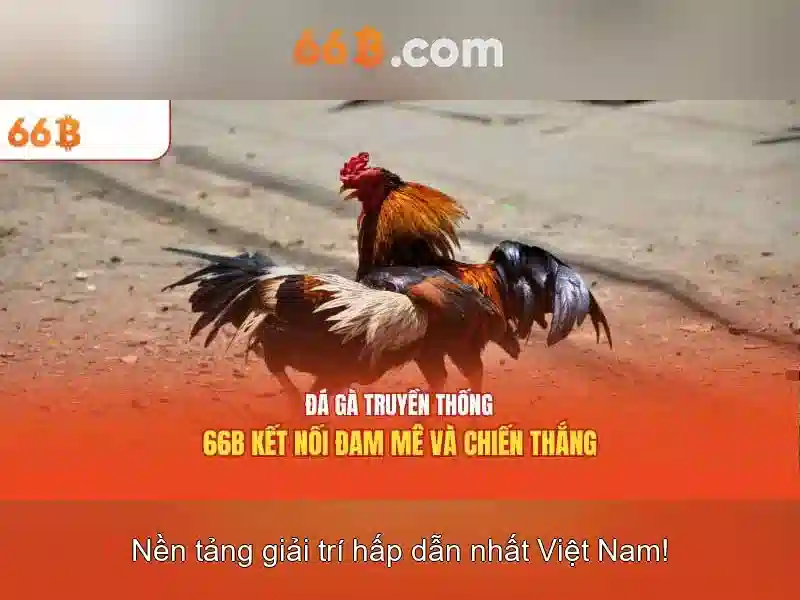 66b và những điều cần biết