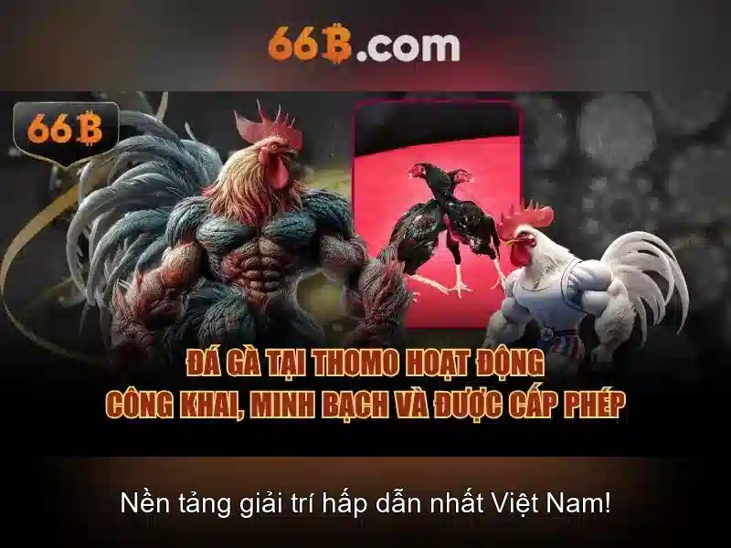 66b: Khái niệm, công nghệ và ứng dụng
