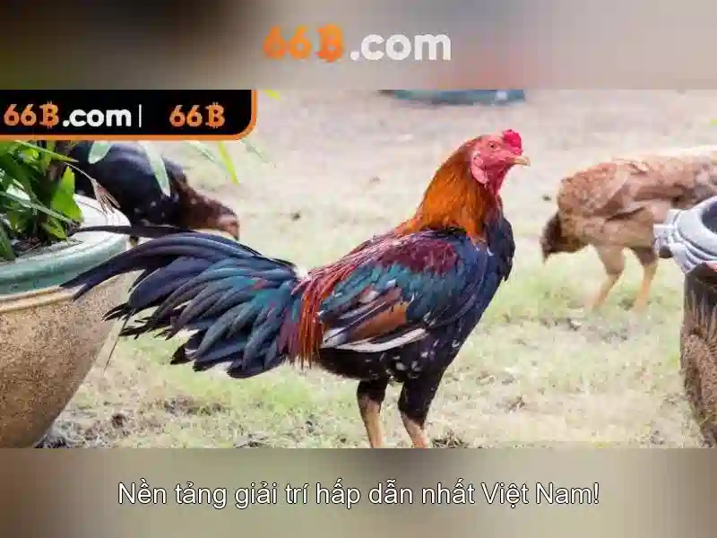 66B: Khám phá mô hình ngôn ngữ lớn và tiềm năng