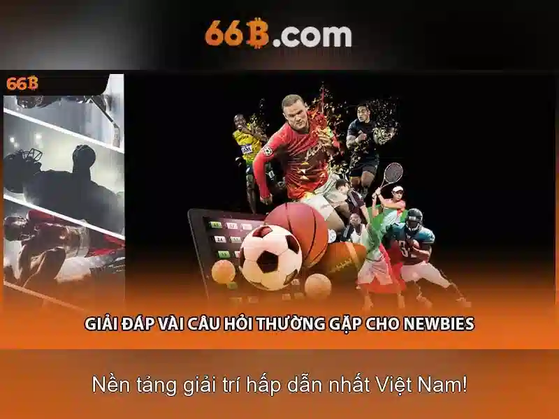 66b kw – Hành trình đổi mới và ứng dụng sáng tạo