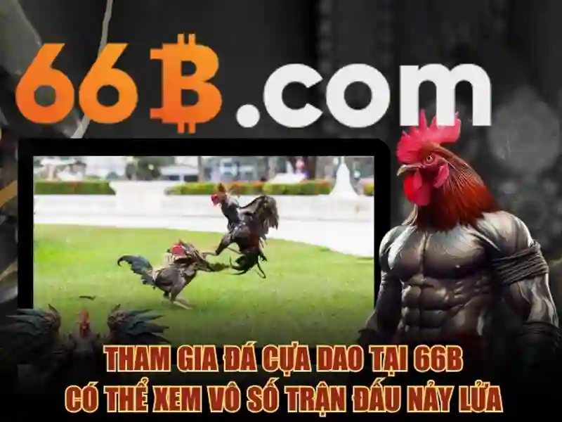 Giao diện sảnh cá cược thể thao 66b hiện đại và bắt mắt