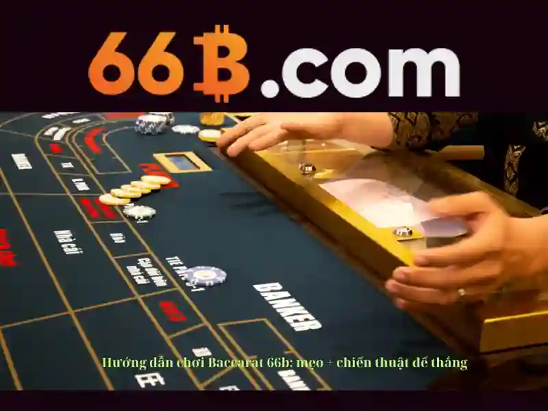 66b - khái niệm và ảnh hưởng