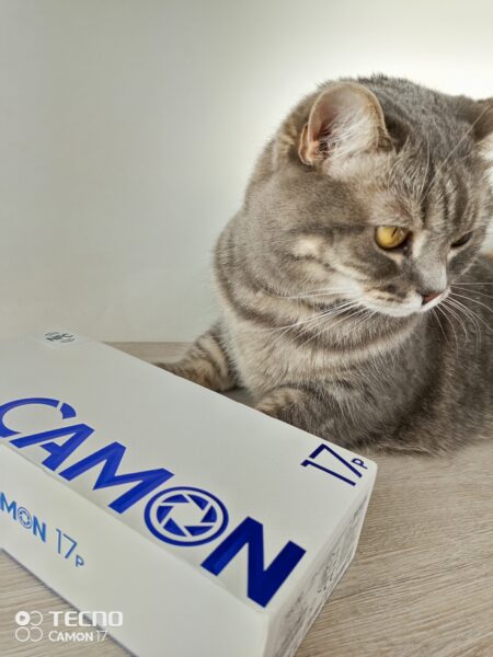Tecno Camon 17P Review - Xiaomi, Move over! 4